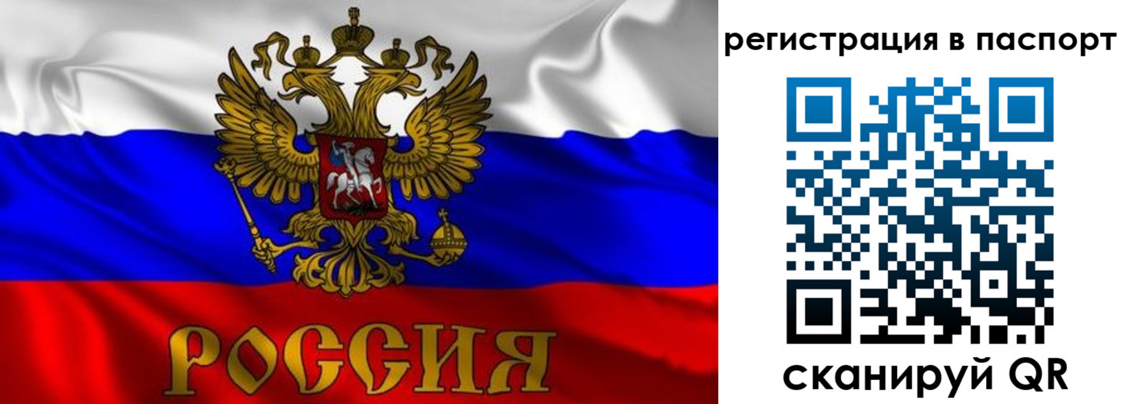прописка законно в Заринске